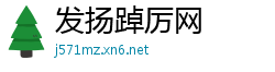发扬踔厉网
